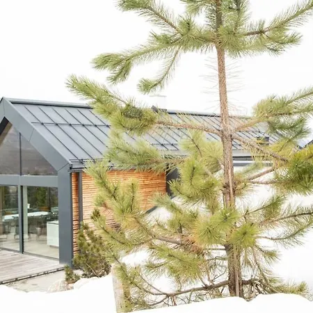 Exclusive Alpenlodge Ski In Ski Out Galsterberg Pruggern Exterior photo